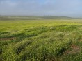 Birdwatching in Alentejo